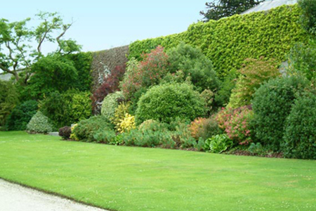 manutenzione del verde